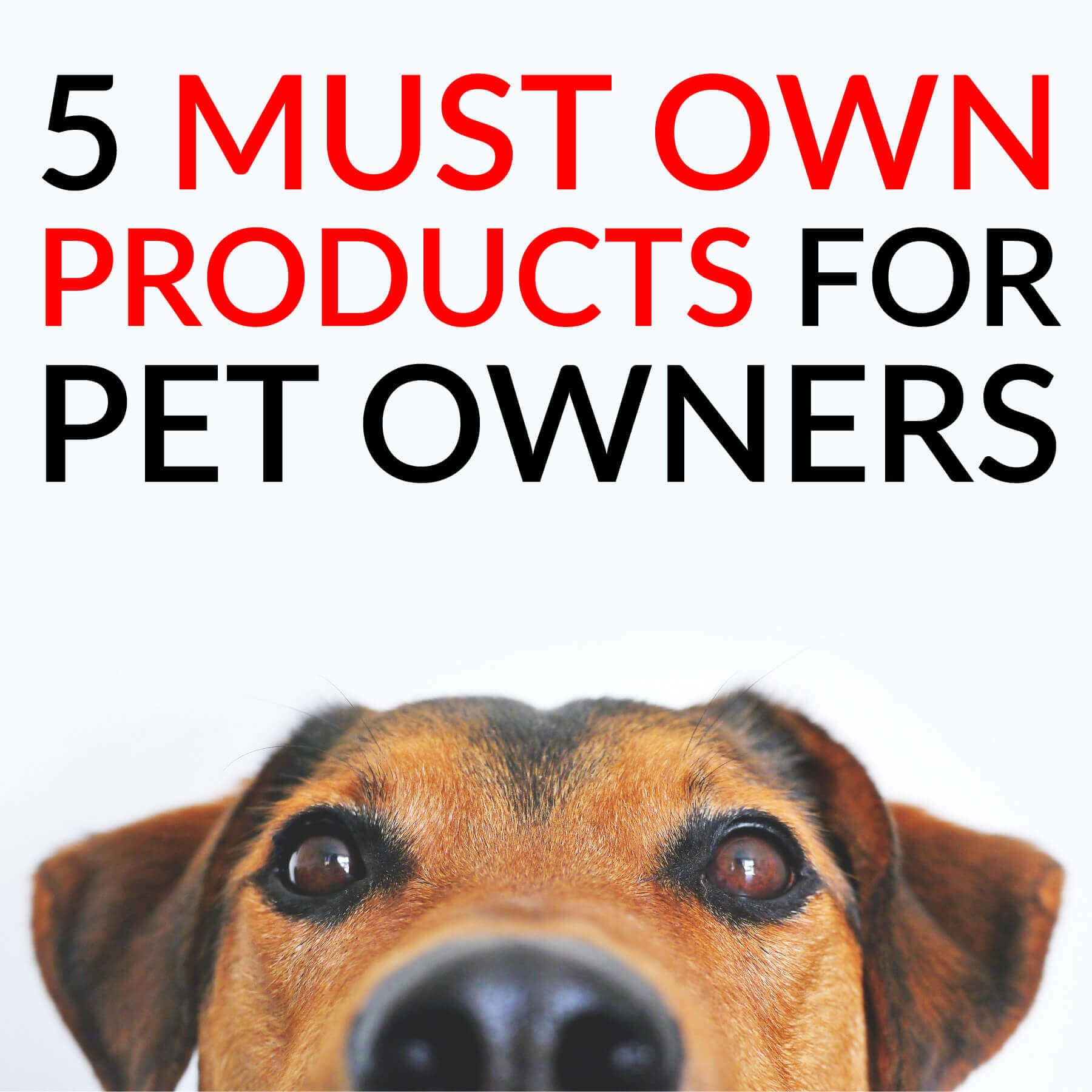 5 Must Own Products for Pet Owners