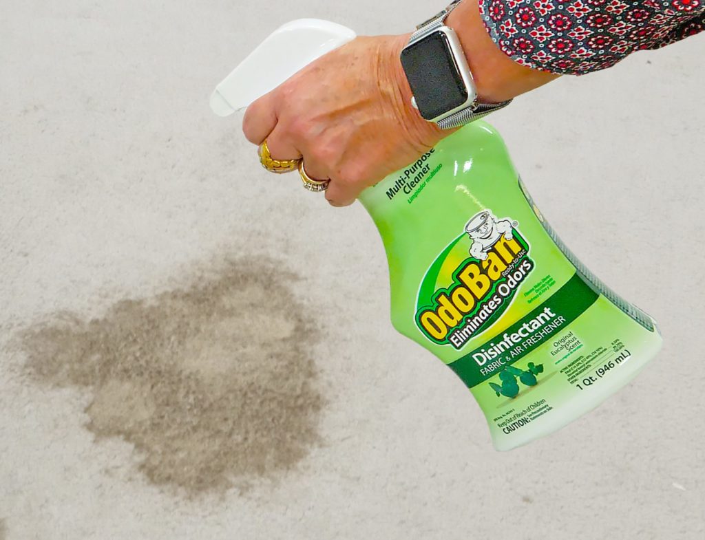 How To Get The Urine Smell Out Of Carpet With Odoban Pet Remover