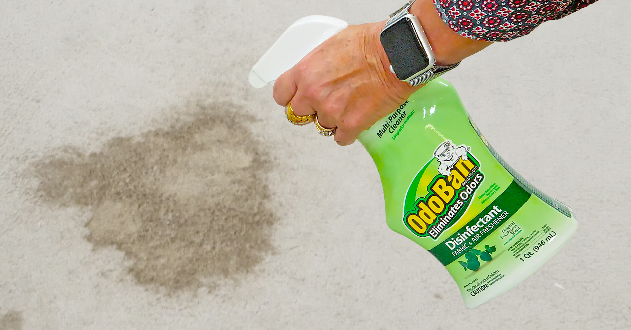 How to Get the Urine Smell Out of Carpet with OdoBan Pet Urine Remover