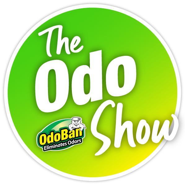 The OdoShow Logo