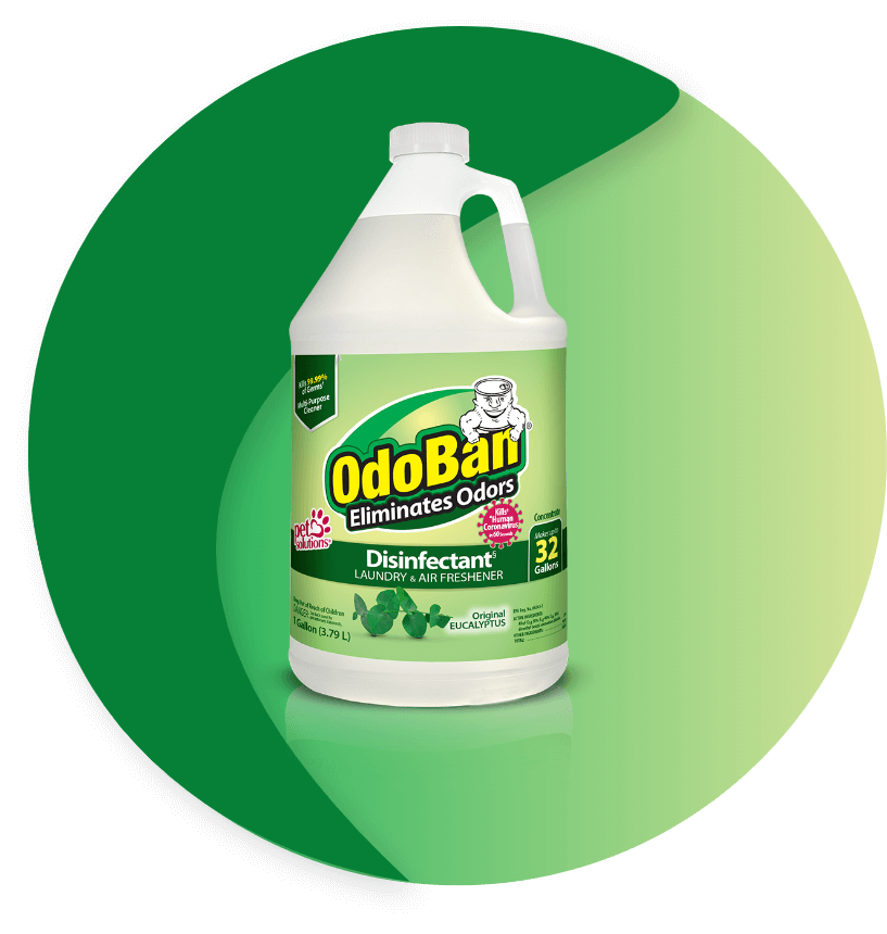 OdoBan Odor Eliminator - Original